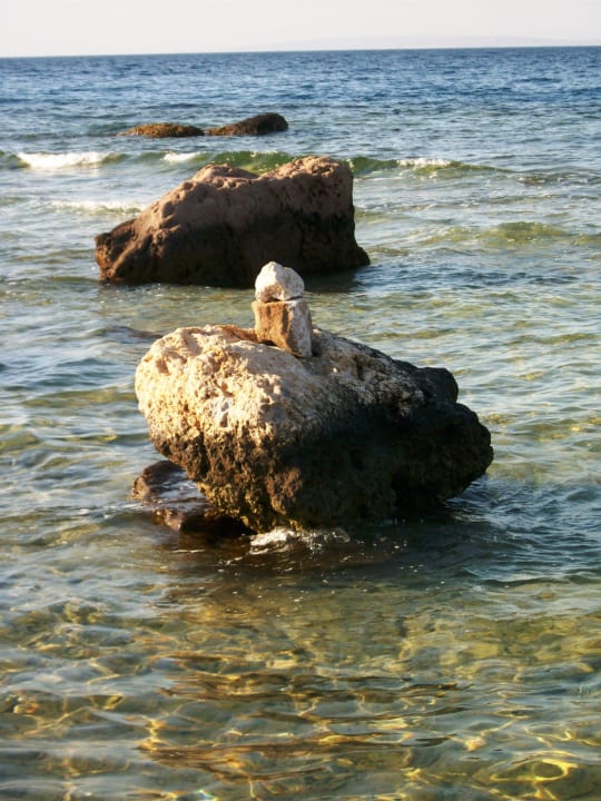 Fast menschenleer Pickalbatros Citadel Resort