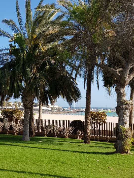 Gartenanlage Barceló Fuerteventura Mar