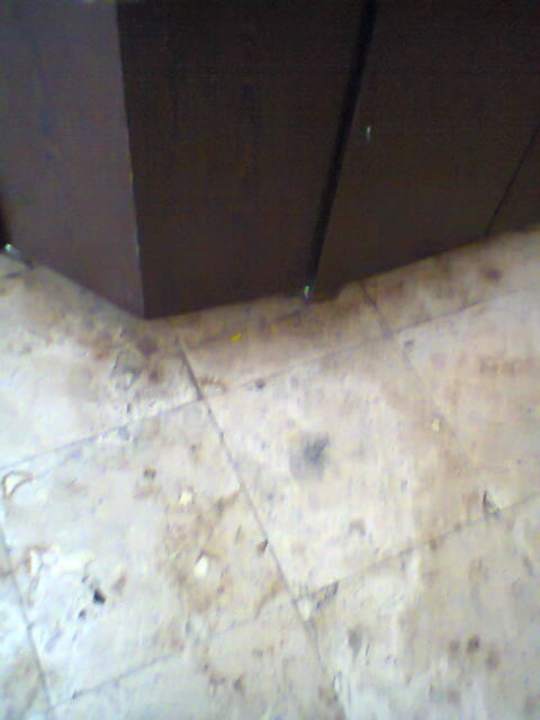 Hauptrestaurant Asteria Collection Side