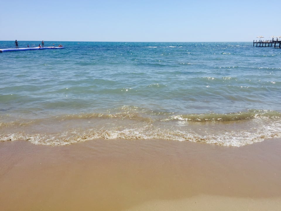 Strand Arum Barut Collection