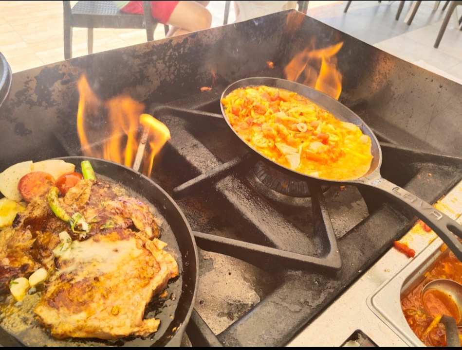 Gastro Seashell Vega