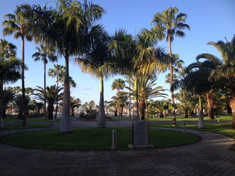 Gartenanlage Hotel Riu Gran Canaria