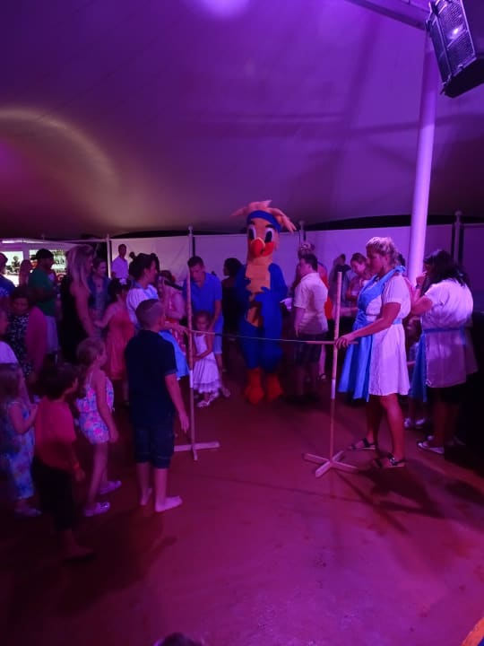 Minidisco Globales Bouganvilla