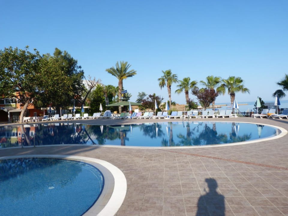 Blick auf den Pool - Block D Lonicera Resort & Spa Hotel