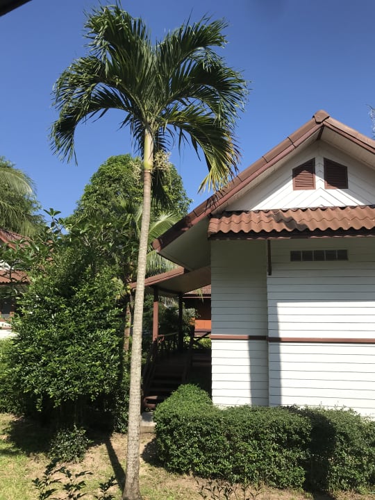 Außenansicht Coco Palm Beach Resort