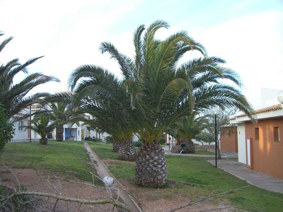 Riu Romantica  Flipflop Cala Romantica