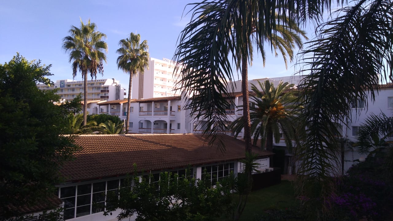 Ausblick Alcudia Garden Aparthotel