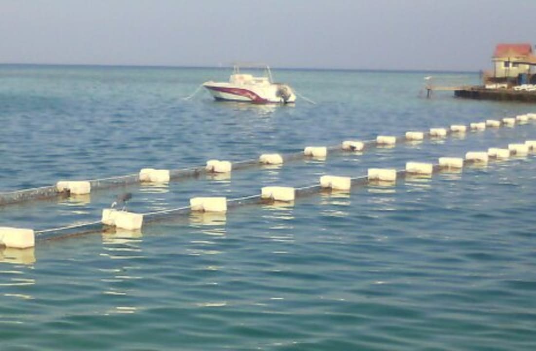 Glasklares Wasser und zwei Netze als Schmutzfang Sunny Days Palma De Mirette Resort & Spa