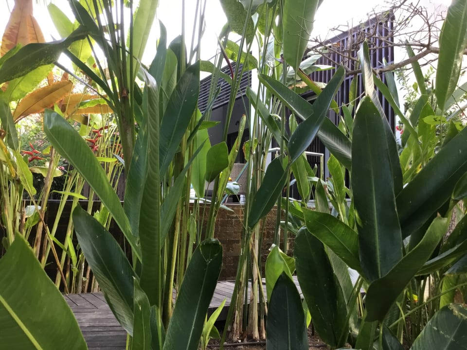 Gartenanlage The Ritz-Carlton Bali