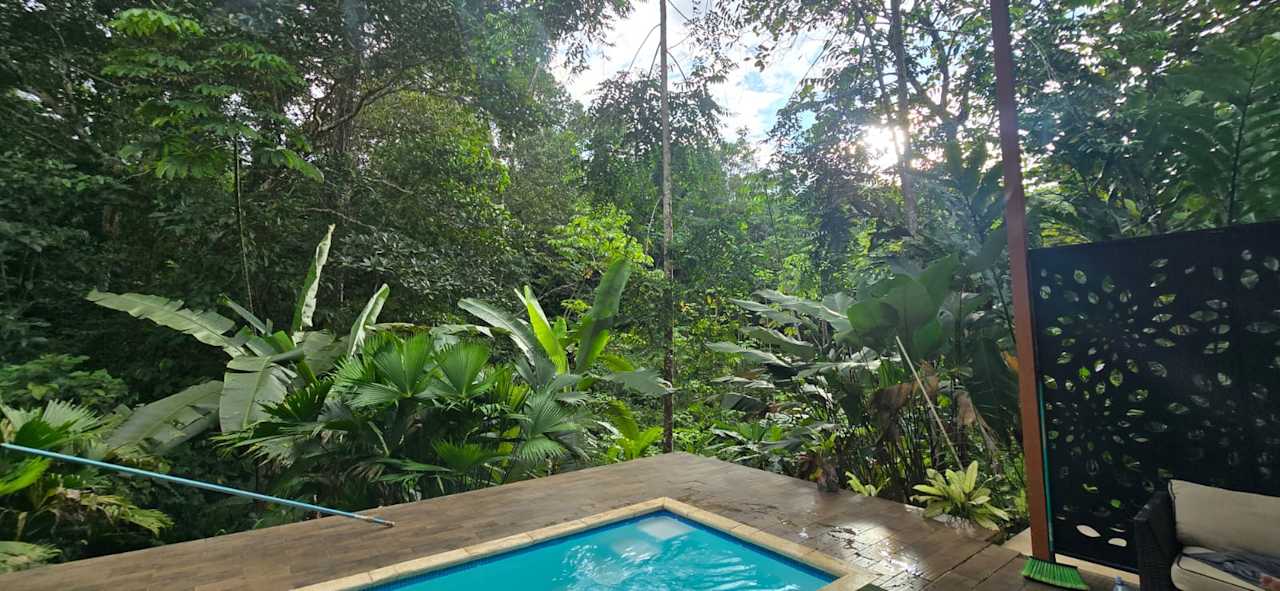 Pool Corcovado Accommodations-pool-best views-nature