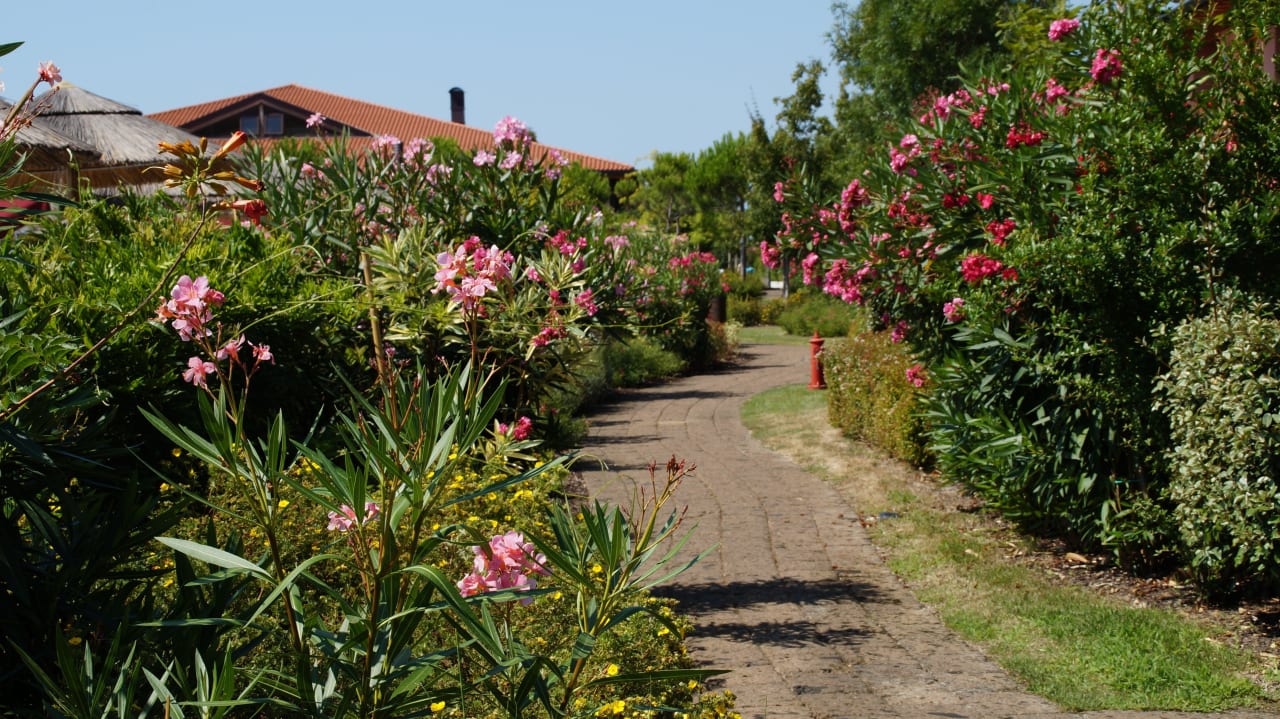 Weg zum Pool Green Village Resort - Hotel & Aparthotel