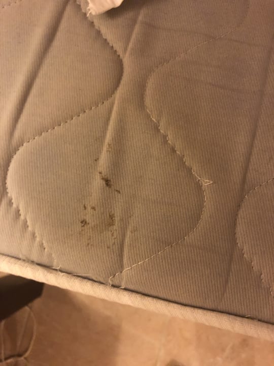 Bett Sol Hicacos Varadero