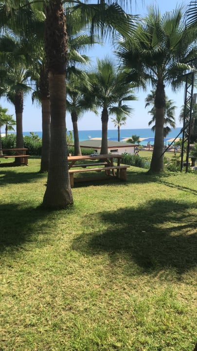 Außenansicht Sultan of Dreams Hotel & Spa