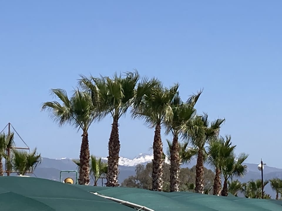 Ausblick Eftalia Ocean Resort & Spa