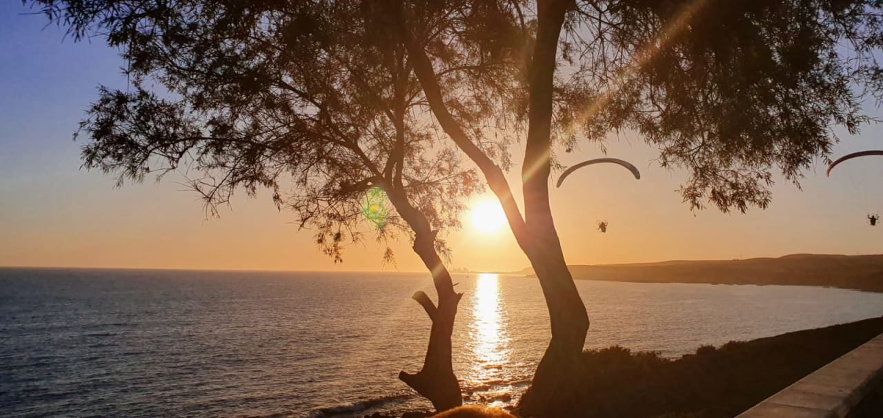 Ausblick Hotel Riu Gran Canaria