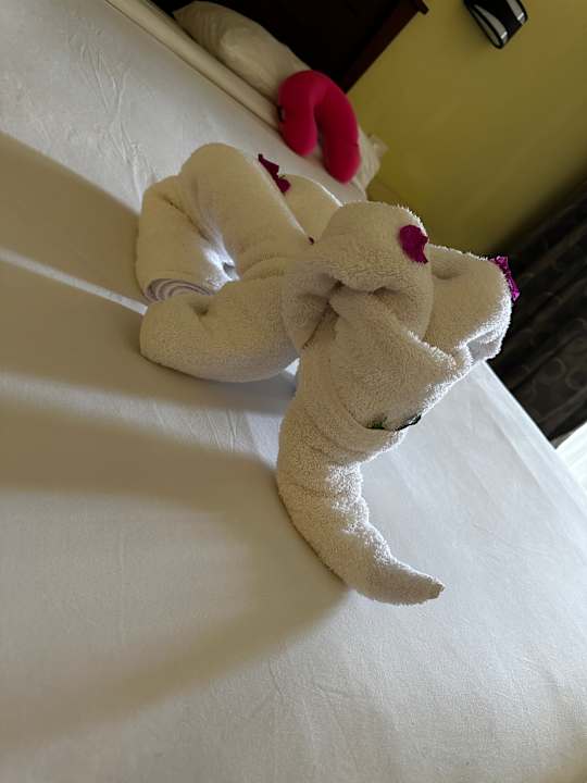 Zimmer Casa Mare Resort