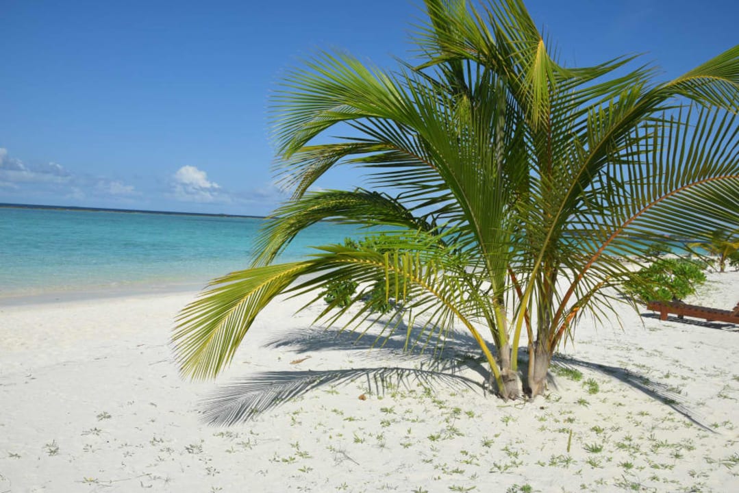 Plaża Adaaran Select Meedhupparu Island Resort - Premium All Inclusive