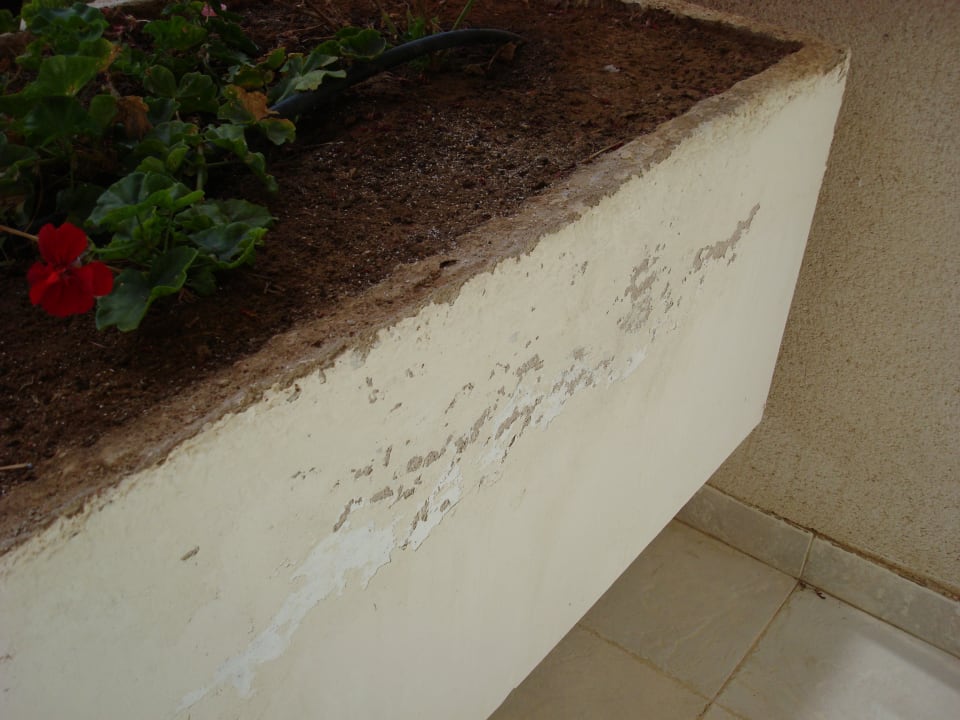 Sonstiges Maspalomas Princess