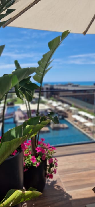 Gartenanlage Jacaranda Luxury Resort