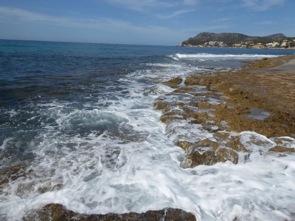 Strand allsun Hotel Bella Paguera