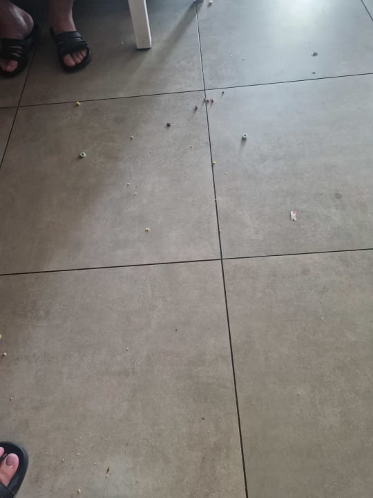 Zimmer Serenade Punta Cana Beach & Spa resort