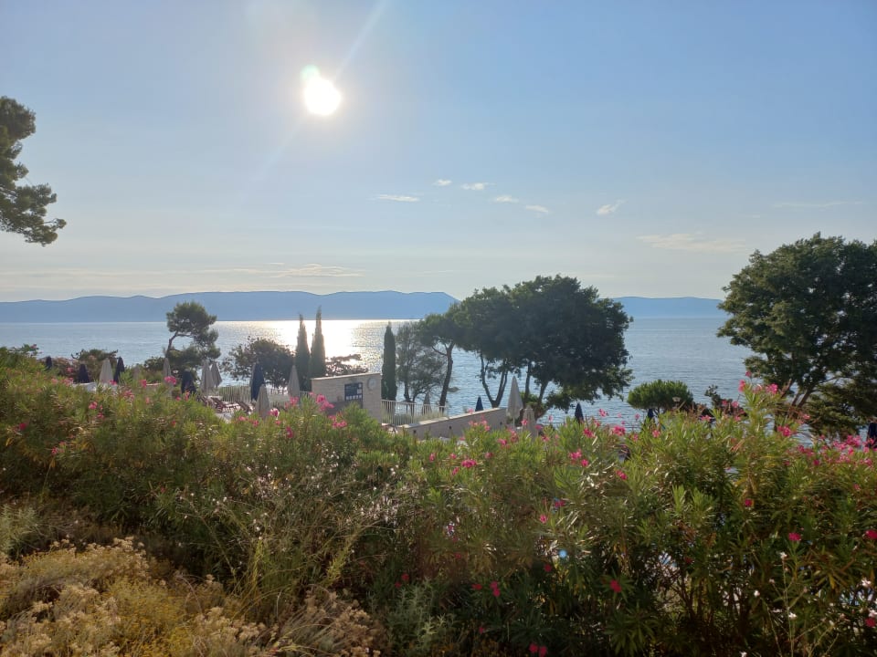 Ausblick Valamar Girandella Designed for Adults