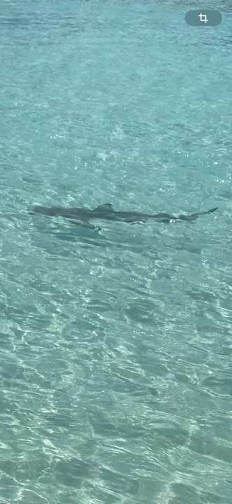 Strand Summer Island Maldives