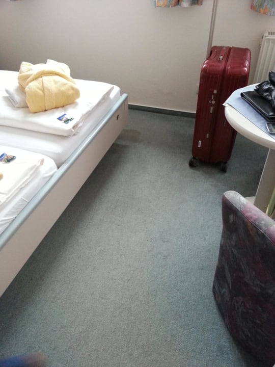 Teppich mit Flecken Sonnenhotel Hoher Hahn