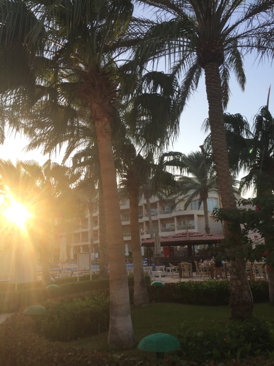 Pool Sea Star Beau Rivage