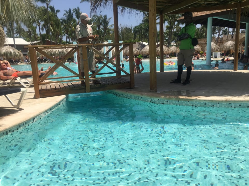 Pool Grand Palladium Punta Cana Resort & Spa