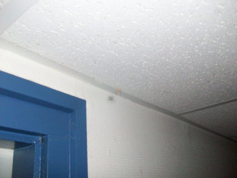 Spinne Club Siofok Hotel Europa