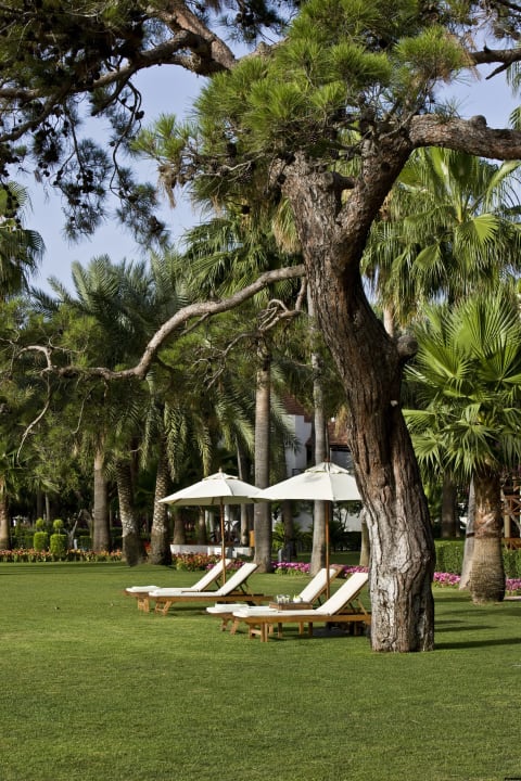 Gartenanlage Club Med Palmiye