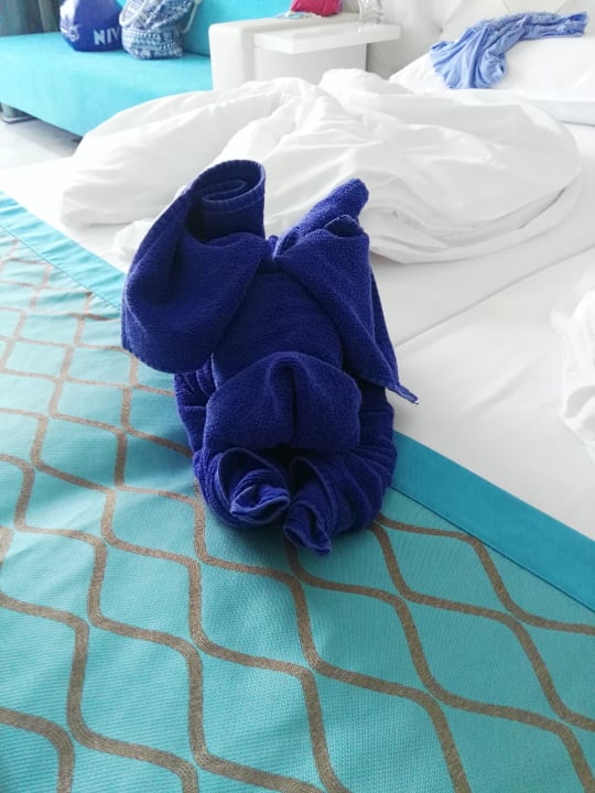 Zimmer Sentido Marea