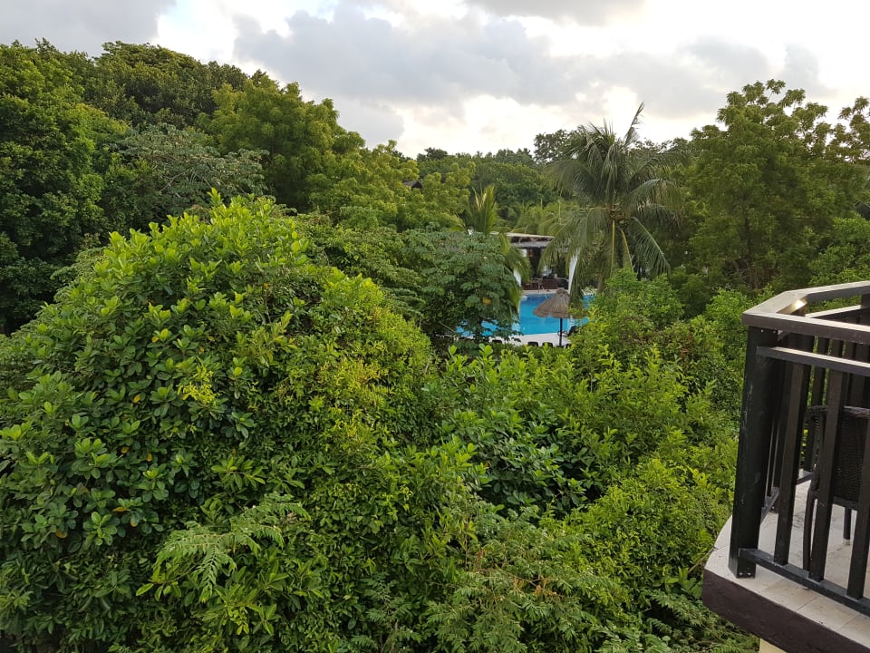 Ausblick Sandos Caracol Eco Resort