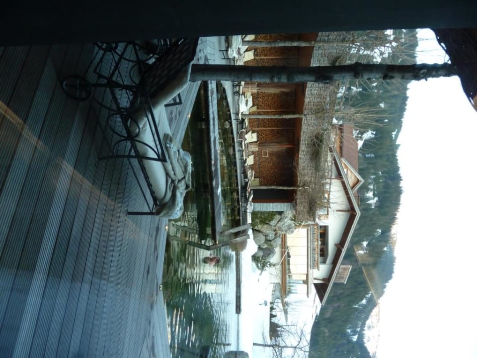 Naturteich Jungbrunn - Der Gutzeitort