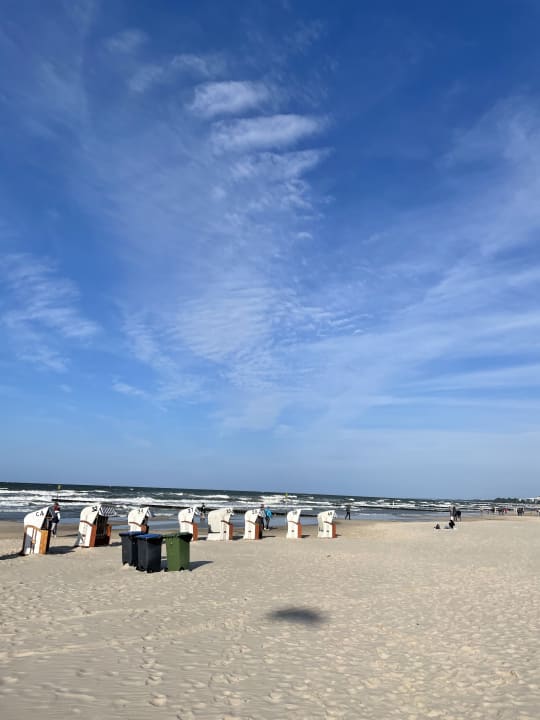 Strand Royal Tulip Sand