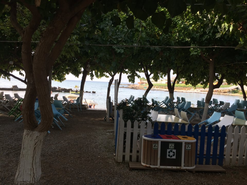 Gartenanlage Numa Bay Exclusive Hotel