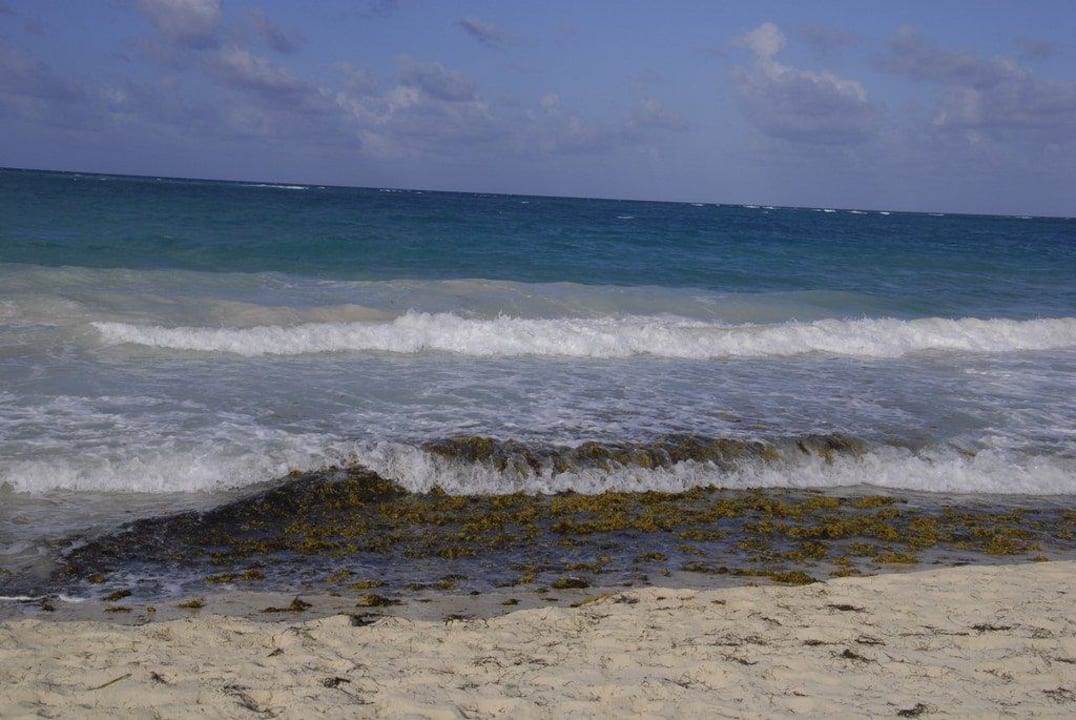 Algen im Wasser Punta Cana Princess All Suites Resort & Spa