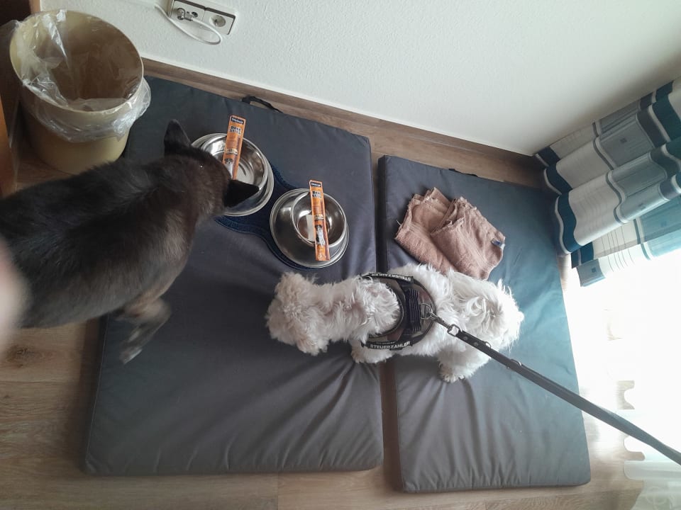 Zimmer Landgasthof Hotel Hirsch