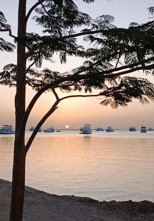 Strand The Grand Palace - Adults only