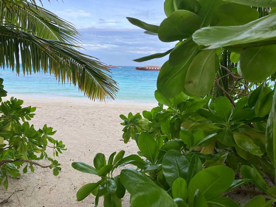Strand Safari Island Maldives