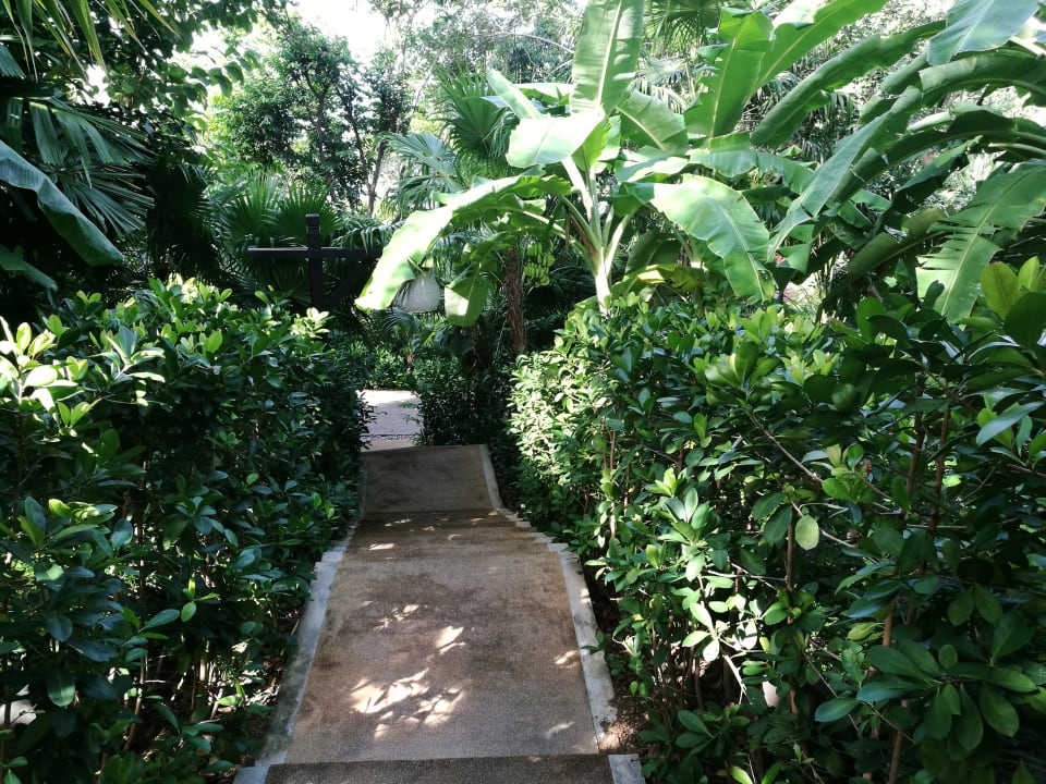 Gartenanlage Hotel Pimalai Resort & Spa