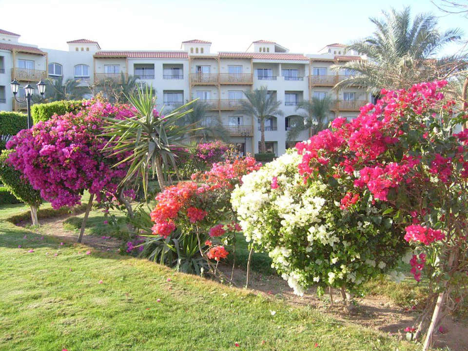 Blumenmeer Pickalbatros Dana Beach Resort - Hurghada