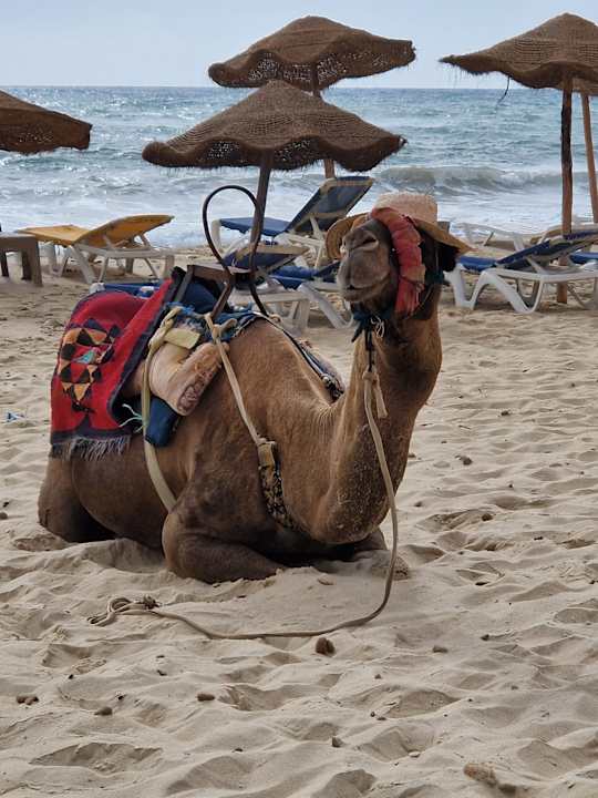 Strand Iberostar Waves Averroes