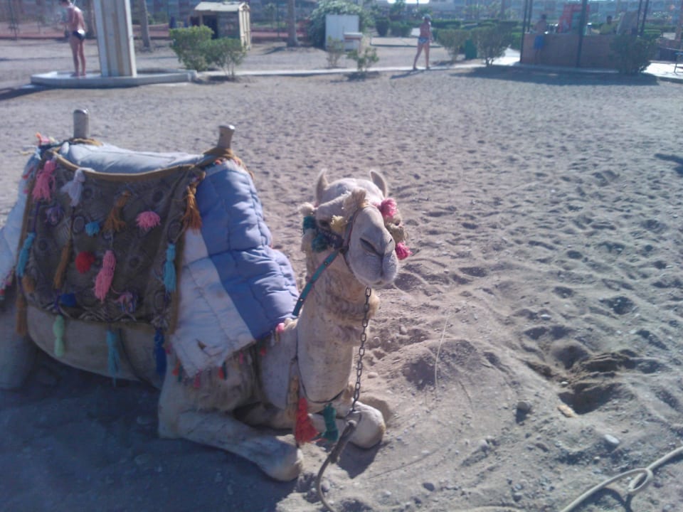 Było czuć  Bliss Nada Beach Resort