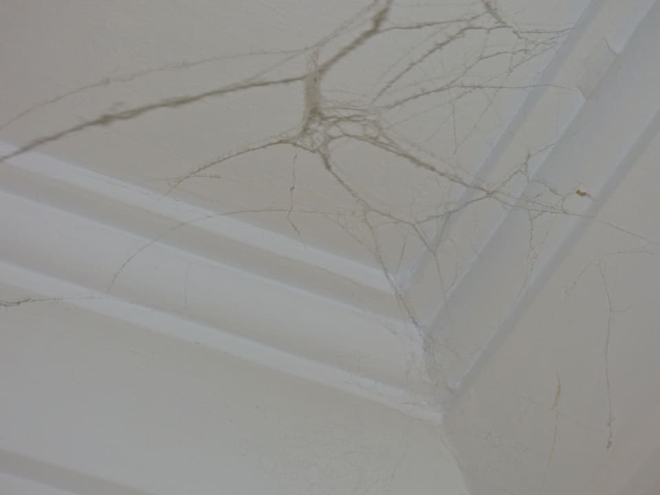 Wie viele Wochen wurde hier nicht geputzt ? Oz Hotels Incekum Beach