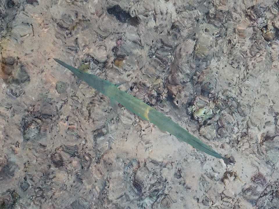 Sonstiges Jaz Dar EL Madina