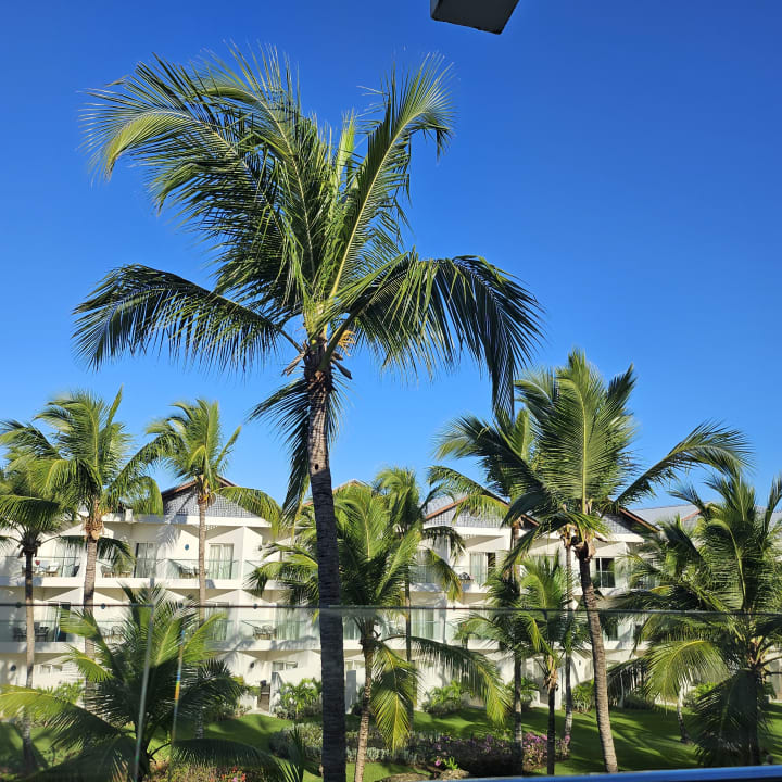 Gartenanlage Dreams La Romana Resort & Spa