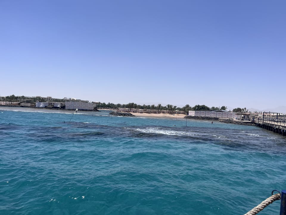 Sport & Freizeit Desert Rose