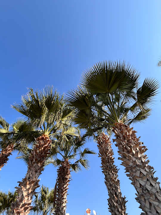 Gartenanlage Jiva Beach Resort